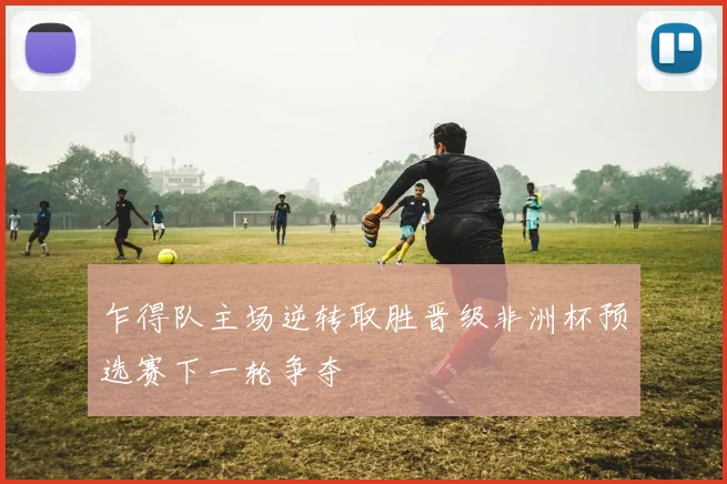 乍得队主场逆转取胜晋级非洲杯预选赛下一轮争夺