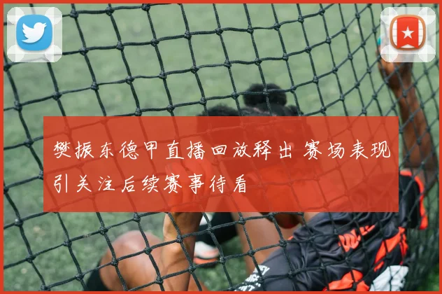 樊振东德甲直播回放释出 赛场表现引关注后续赛事待看