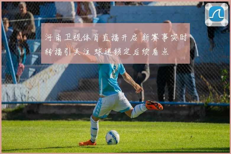 河南卫视体育直播开启 新赛事实时转播引关注 球迷锁定后续看点