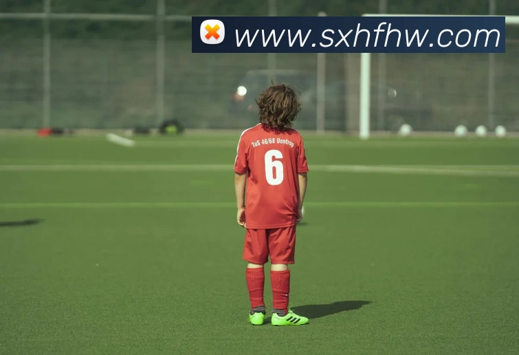 九游j9游戏网站APP 封面图